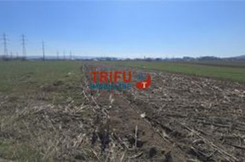 Teren Intravilan de vanzare CENTRAL - Alba anunturi imobiliare Alba