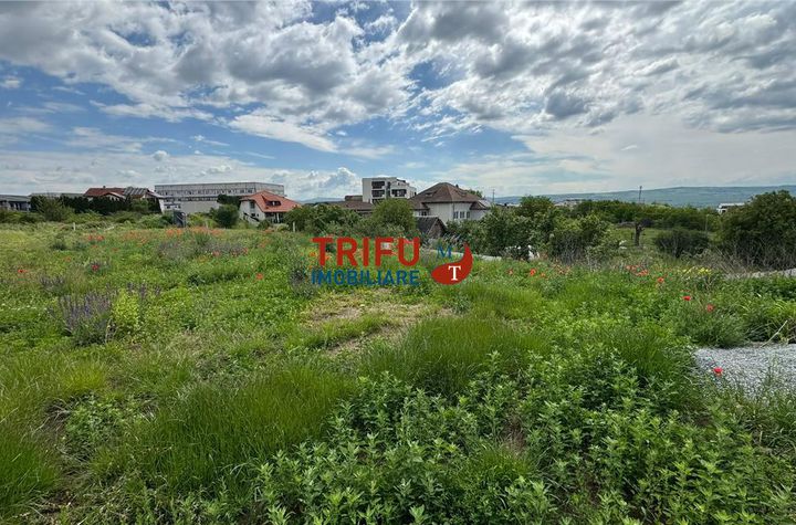 Teren Intravilan de vanzare CETATE - Alba anunturi imobiliare Alba