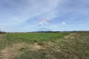 Teren Investitii  |  Zona Tetarom III-Bontida-Rascruci anunturi imobiliare Cluj