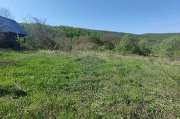 Teren de vis în Stejeriș – utilități, natură, acces rapid! anunturi imobiliare Cluj