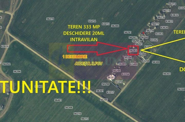 Teren aproape de Bucuresti langa padure între case anunturi imobiliare Bucuresti