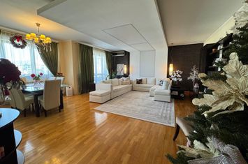 Calea Floreasca- vedere catre lac, vanzare apartament 4 camere, 154 mp totali, imobil boutique din 2006, anunturi imobiliare Bucuresti