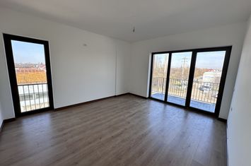 Apartament 2 camere de vanzare FREIDORF - Timis anunturi imobiliare Timis