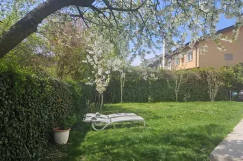 Vilă superbă,  tip duplex, zona  Iancu Nicolae. anunturi imobiliare Bucuresti