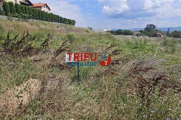 Teren Intravilan de vanzare CETATE - Alba anunturi imobiliare Alba