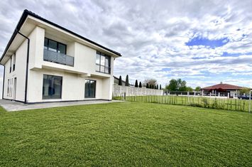 Vilă - 4 camere de vanzare CETATE - Alba anunturi imobiliare Alba