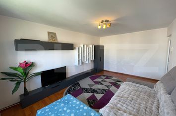 Apartament 2 camere de vanzare LAPUS ARGES - Dolj anunturi imobiliare Dolj