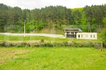 Vilă - 6 camere de vanzare SURDUC - Cluj anunturi imobiliare Cluj