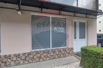 Spațiu de vânzare – 30 mp, multifuncțional (comercial / locuință) anunturi imobiliare Salaj