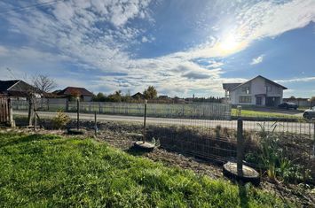 Teren de vanzare BOZANTA MARE - Maramures anunturi imobiliare Maramures