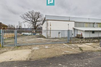 Hală cu teren intravilan de 3500 mp, în Sebiș Arad anunturi imobiliare Arad