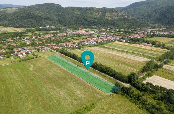 Livadă pe rod cu pomi fructiferi 4780mp la Dezna anunturi imobiliare Arad