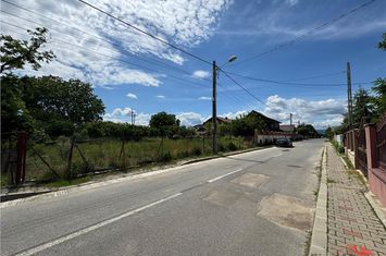 Teren Intravilan de vanzare SUD - Vrancea anunturi imobiliare Vrancea