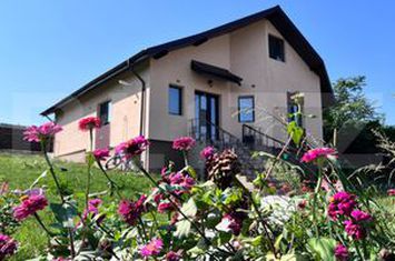 Casă - 3 camere de vanzare IASI - Iasi anunturi imobiliare Iasi