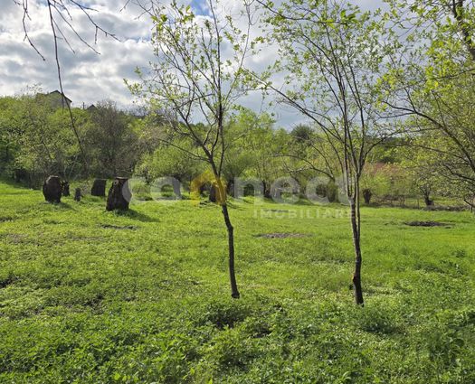 Teren Ciurila, 5000 mp