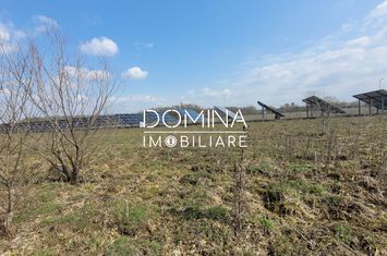Teren de vanzare DRAGUTESTI - Gorj anunturi imobiliare Gorj