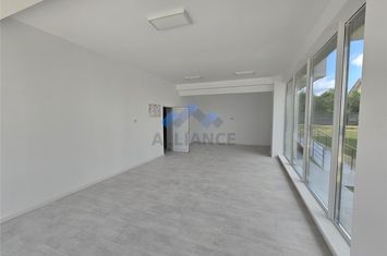 Spațiu comercial de vanzare VALEA ADANCA - Iasi anunturi imobiliare Iasi