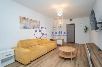 Ap 2 camere, renovat, mobilat, Copou - Codrescu anunturi imobiliare Iasi