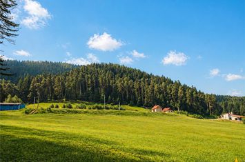 Teren Intravilan de vanzare SACELE - Brasov anunturi imobiliare Brasov