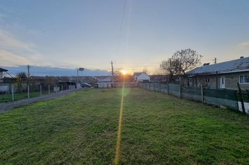 Vilă - 6 camere de vanzare CENTRAL - Bacau anunturi imobiliare Bacau