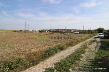 Teren generos in Proaspeti sub pretul pietei !! anunturi imobiliare Olt