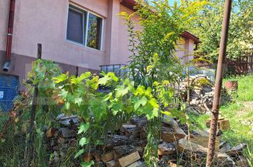 Casă - 3 camere de vanzare BISTRITA - Bistrita-Nasaud anunturi imobiliare Bistrita-Nasaud