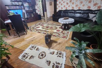 Vilă - 4 camere de vanzare MOARA - Suceava anunturi imobiliare Suceava