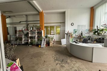 Spațiu comercial de vanzare ZALAU - Salaj anunturi imobiliare Salaj