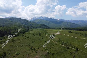 Teren Intravilan de vanzare AVRIG - Sibiu anunturi imobiliare Sibiu