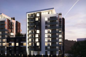 Apartament 1 camera  Nou CUG anunturi imobiliare Iasi