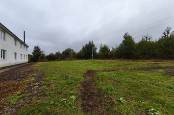 Spațiu industrial de inchiriat SIRET - Suceava anunturi imobiliare Suceava