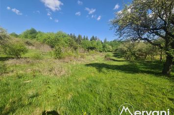 Teren Intravilan de vanzare VOILA - Prahova anunturi imobiliare Prahova