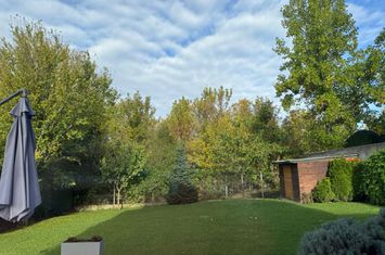 Vila individuala | teren generos | zona Erou Iancu Nicolae anunturi imobiliare Bucuresti