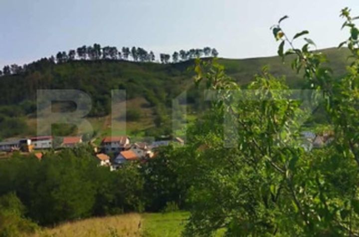 Teren de vanzare PACLISA - Alba anunturi imobiliare Alba