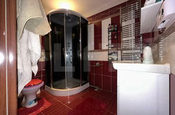 Vilă - 5 camere de inchiriat DEVA - Hunedoara anunturi imobiliare Hunedoara