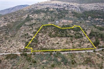 Teren construibil 12.529 mp în Mikros Prinos, Thassos anunturi imobiliare Grecia