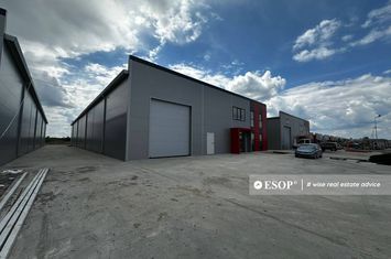 Spațiu industrial de vanzare CHIAJNA - Bucuresti anunturi imobiliare Bucuresti