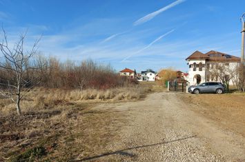 Loc pentru casa cu utilitati la 500m de padure, Ciofliceni - Snagov! anunturi imobiliare Bucuresti