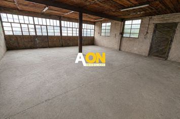 Hală Industrială de Închiriat, 405mp, Zona Centru anunturi imobiliare Alba