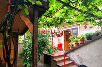 Vilă - 3 camere de vanzare CETATE - Alba anunturi imobiliare Alba