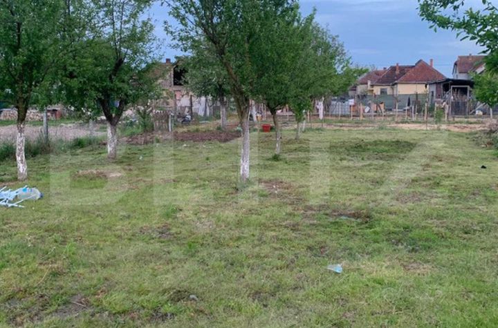 Teren de vanzare CIONCHESTI - Satu Mare anunturi imobiliare Satu Mare
