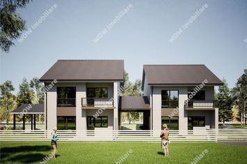 Vilă - 4 camere de vanzare MALURENI - Arges anunturi imobiliare Arges