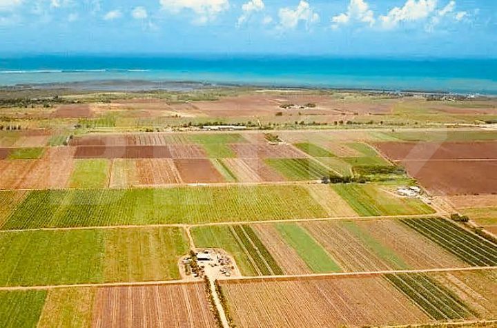 Teren de vanzare FAGARAS - Brasov anunturi imobiliare Brasov