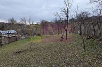 Teren intravilan 800 mp de vanzare in Lunca Mare anunturi imobiliare Prahova