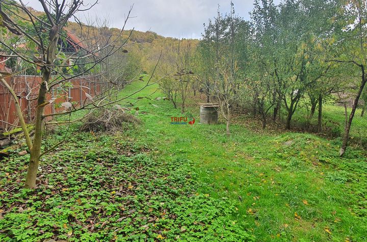 Teren Intravilan de vanzare CENTRAL - Alba anunturi imobiliare Alba