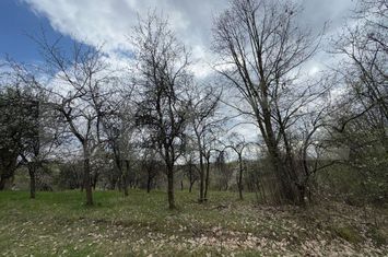 Casă - 2 camere de vanzare DEVA - Hunedoara anunturi imobiliare Hunedoara