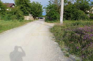 Loturi Teren Intravilan Str Delfinului -Comuna Berceni anunturi imobiliare Bucuresti