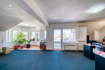 Domenii / Spatiu de birouri / 3 camere / 100 mp anunturi imobiliare Bucuresti