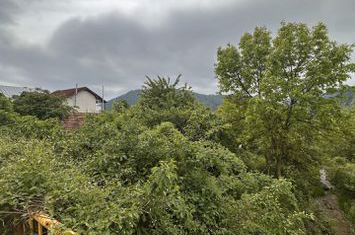 teren intravilan - Piatra Neamt - Sarata anunturi imobiliare Neamt