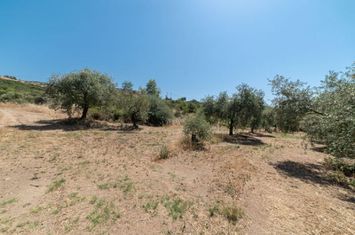 Teren 1937 mp în Agios Andreas (Kavala) anunturi imobiliare Grecia